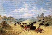 George Catlin Comanche Indians Chasing Buffalo with Lances and Bows oil painting on canvas